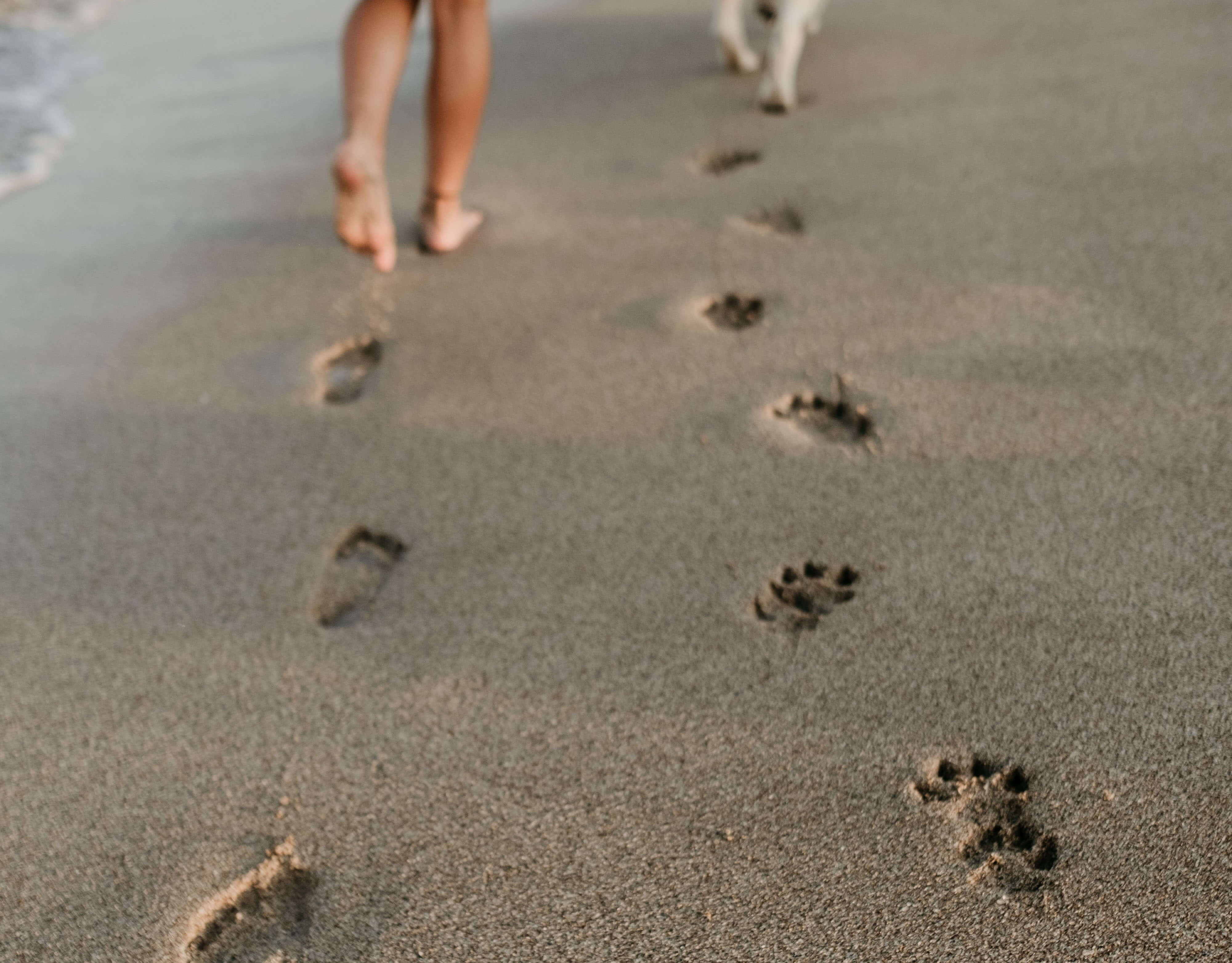 What Is a Digital Footprint Mine